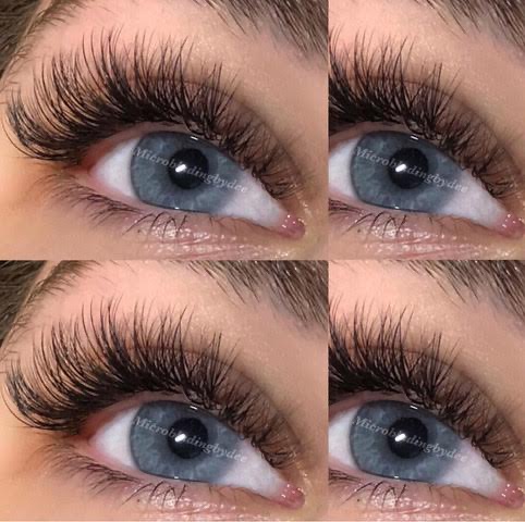 Volume Lashes