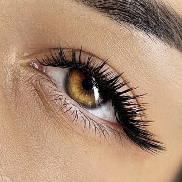 Services – Eyelash